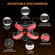 Load image into Gallery viewer, Pupvest LED Harness
